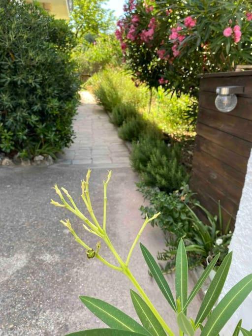 Une Pause Au Paradis Sorgues Buitenkant foto